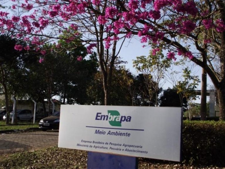 Foto: Embrapa