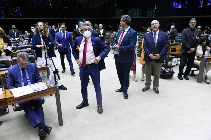 Autora do projeto que homenageia Nise da Silveira, a deputada Jandira Feghali defende a derrubada do veto ao título de Heroína da Pátria - Jefferson Rudy/Agência Senado