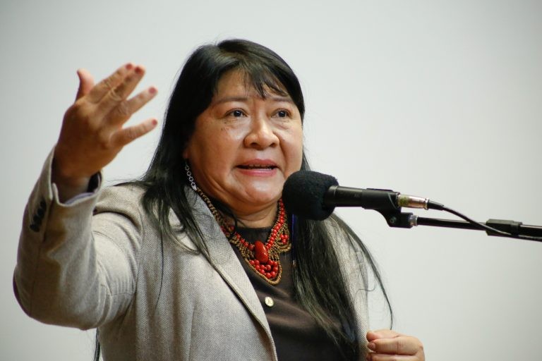 Joenia Wapichana: línguas indígenas foram suprimidas na colonização - (Foto: Elaine Menke/Câmara do Deputados)