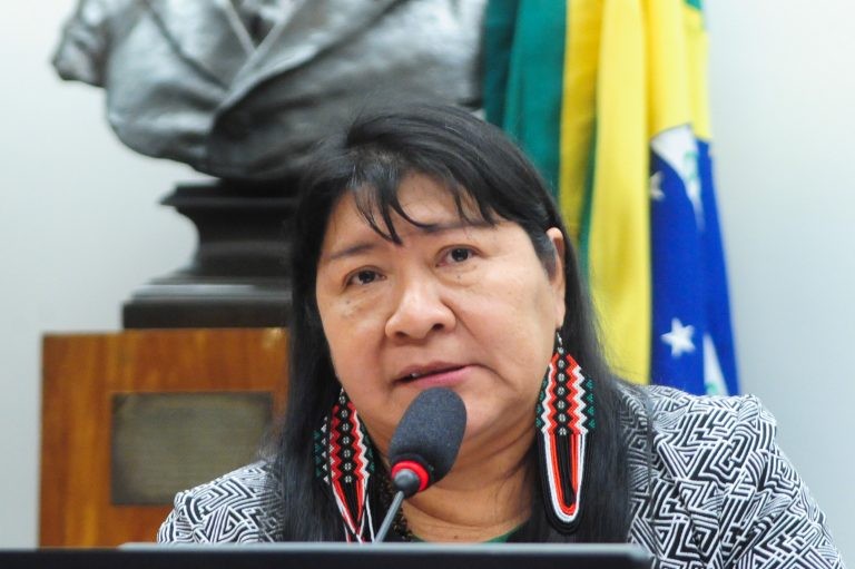 Joenia disse que as demandas surgiram nas diligências da comissão - (Foto: Billy Boss/Câmara dos Deputados)