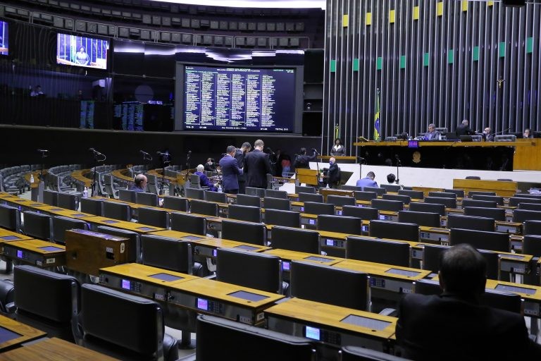 Vivi Reis: a isenção geraria prejuízo aos cofres públicos - (Foto: Paulo Sérgio/Câmara dos Deputados)