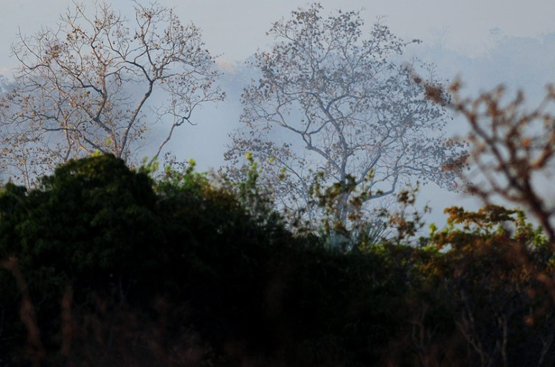 Pedro Ventura/Agência Brasília