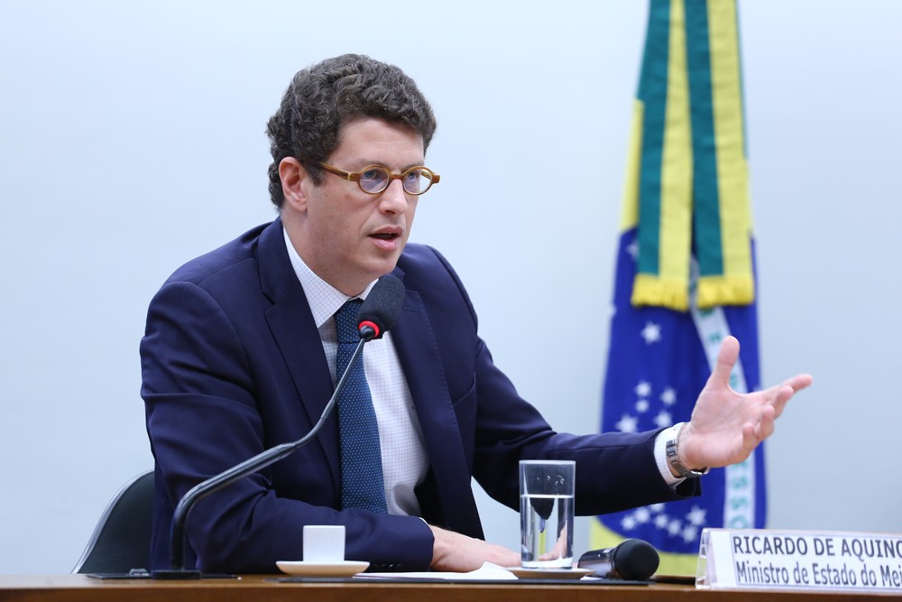 Ricardo Salles, ministro do Meio Ambiente. Foto: Vinícius Loures/Câmara dos Deputados