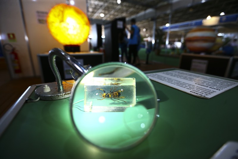 © Marcelo Camargo/Agência Brasil