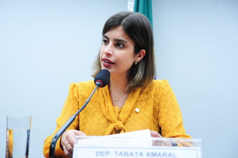 Tabata lembra que o censo mais recente foi realizado em 2010 - (Foto: Billy Boss/Câmara dos Deputados)