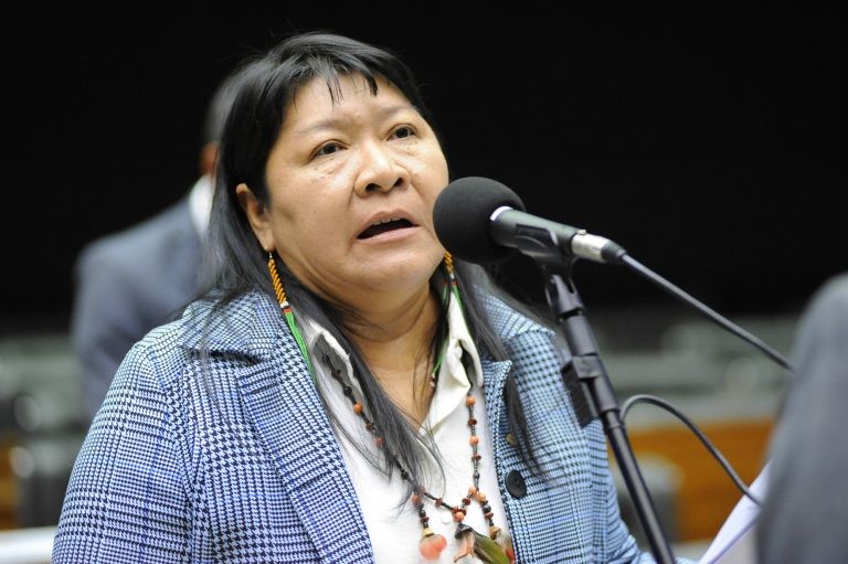 Joenia: garimpos em terras indígenas cresceram cinco vezes em uma década - (Foto: Billy Boss/Câmara dos Deputados)