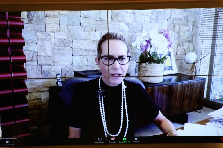 Maria Claudia: número de eleitores com 16 e 17 anos cresceu 47% - (Foto: Elaine Menke/Câmara dos Deputados)