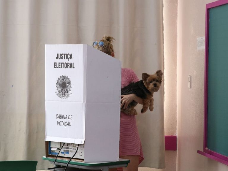 Quem não votar está sujeito a punições, como multa e até cancelamento do título de eleitor - (Foto: Rovena Rosa/Agência Brasil)