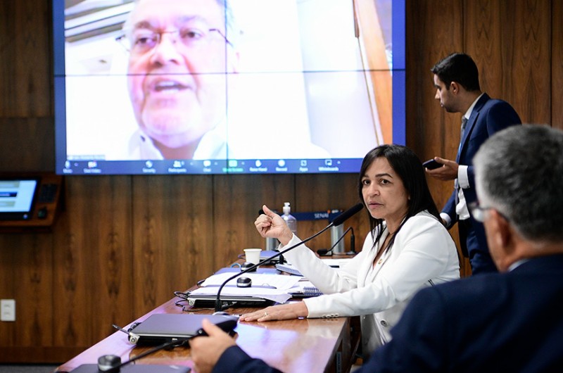 Roberto Rocha (no telão) e Eliziane Gama na reunião, que era destinada à instalação e eleição de presidente do grupo - Pedro França/Agência Senado