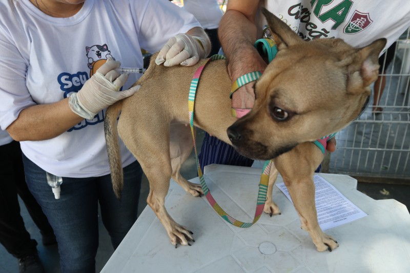 © Tânia Rêgo/Agência Brasil