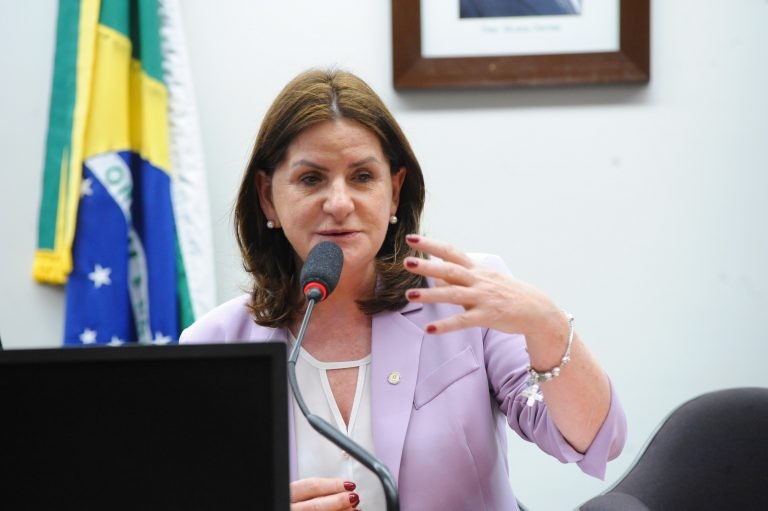 Carmen Zanotto: vamos ampliar a participação das mulheres na Câmara - (Foto: Billy Boss/Câmara dos Deputados)