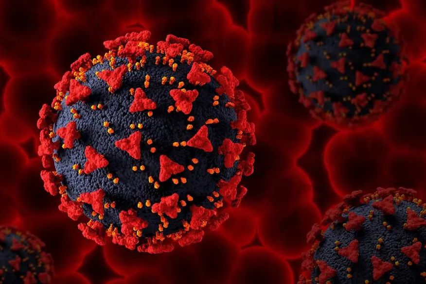 O grupo que identificou o Khosta-2 foi liderado por cientistas da Escola para Saúde Global Paul G. Allen, da Universidade do Estado de Washington, nos Estados Unidos. (Foto: Reprodução)