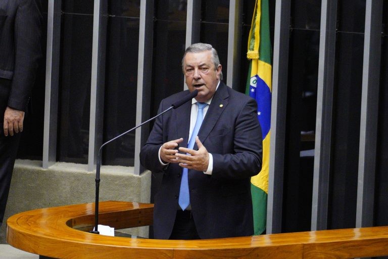 Schreiner: agricultura familiar responde pela maior parte da produção do setor - (Foto: Pablo Valadares/Câmara dos Deputados)