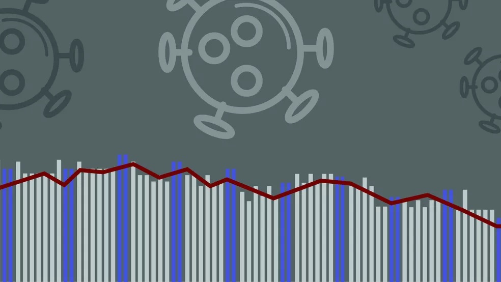 Números de Covid no Brasil — Foto: Editoria de Arte/G1