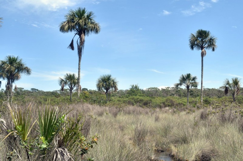 A medida havia sido vetada, mas o veto foi derrubado pelo Congresso no dia 1º de junho - Fernando Bizerra/Agência Senado