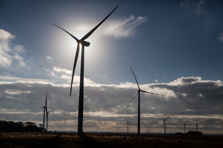 Parque de produção de energia eólica - (Foto: Vanderlei Tacchio/ Divulgação Eletrosul)