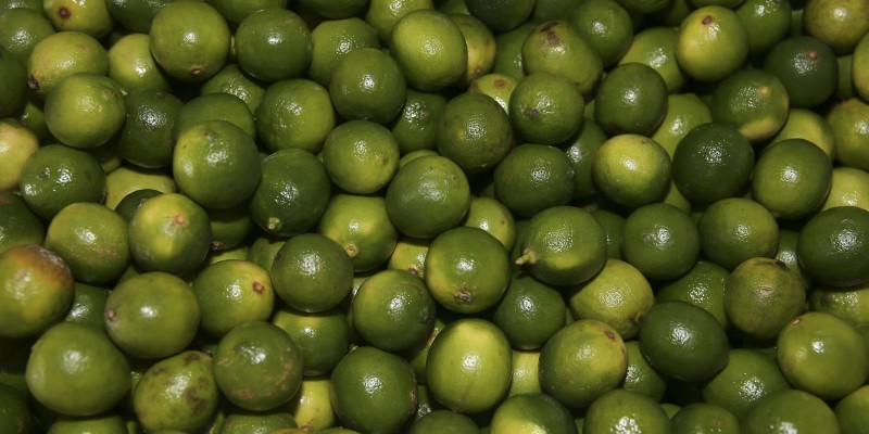 © Valter Campanato/Agência Brasil