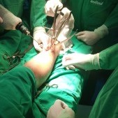 Foram realizadas três cirurgias ortopédicas