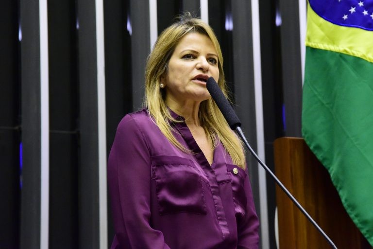 Flávia Morais defende atualização dos valores previstos nos projetos das obras paralisadas - (Foto: Cleia Viana / Câmara dos Deputados)