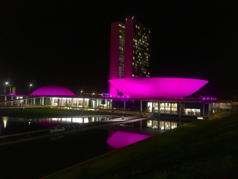 O prédio do Congresso costuma ser iluminado para chamar atenção para temas atuais - (Foto: Pierre Triboli)