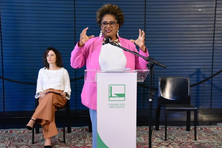 Reginete Bispo: “Se não está no orçamento, não está em nenhuma política pública” - (Foto: Cleia Viana / Câmara dos Deputados)