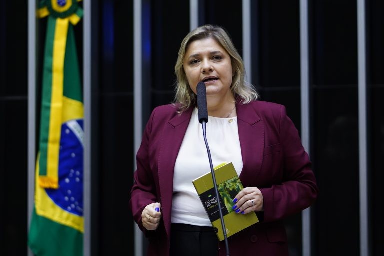 A autora da proposta, deputada Professora Luciene Cavalcante - (Foto: Pablo Valadares/Câmara dos Deputados)
