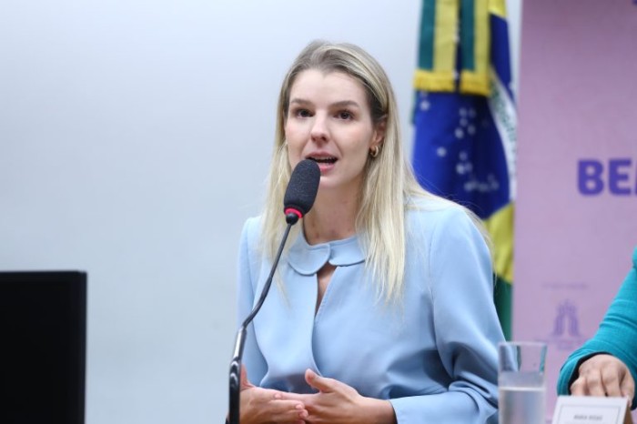 Luisa Canziani: eleição é simbólica porque temos uma mulher no Ministério de Ciência e Tecnologia - (Foto: Vinicius Loures/Câmara dos Deputados)