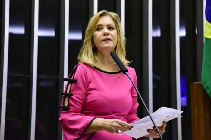Lêda Borges: “Espero que a comissão continue seu trabalho técnico e suprapartidário - (Foto: Cleia Viana / Câmara dos Deputados)