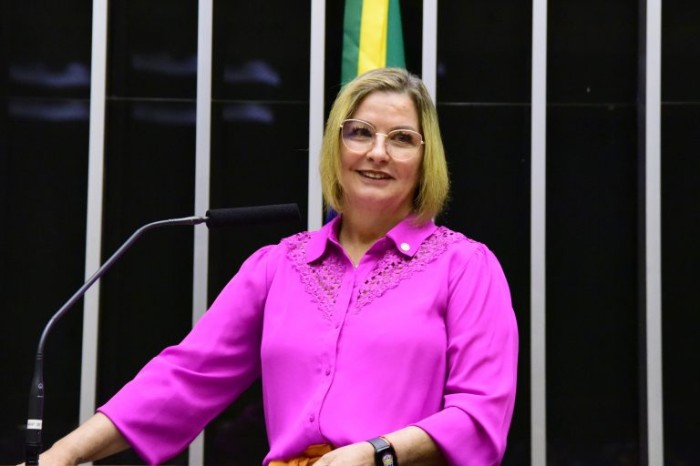 A relatora da proposta, deputada Ana Paula Leão - (Foto: Vinicius Loures/Câmara dos Deputados)