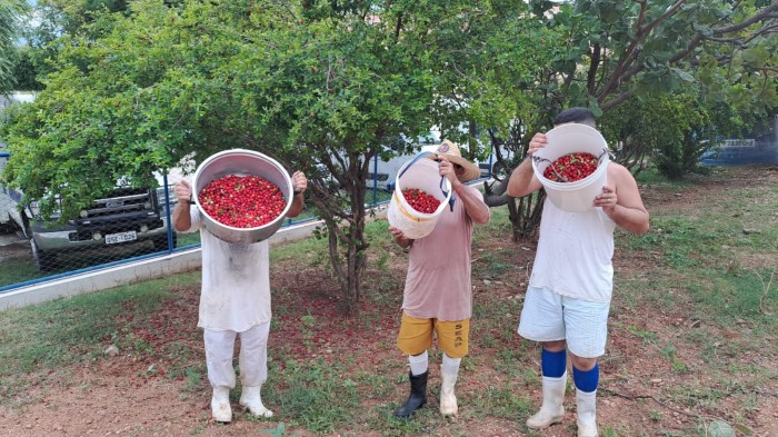 Foto: Reprodução/Secom Paraíba