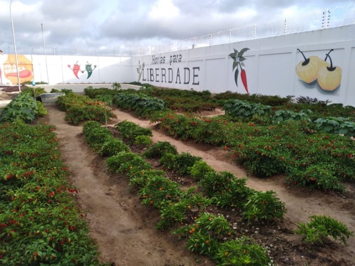 Foto: Reprodução/Secom Paraíba