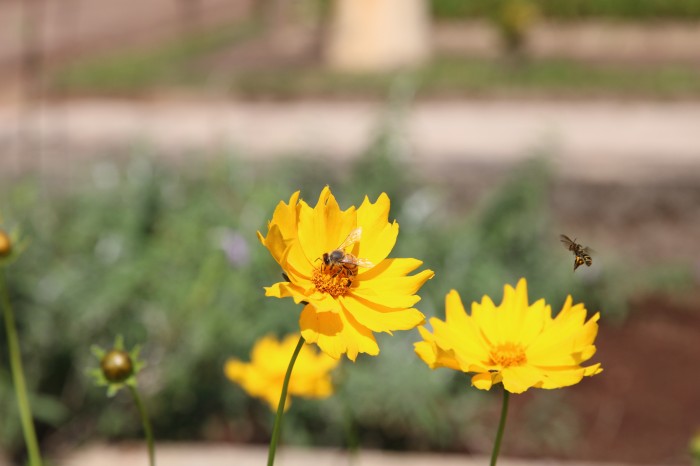 © Rovena Rosa/Agência Brasil