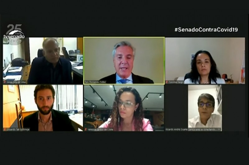 Collor (ao centro, no alto) e representantes do setor de parques durante a audiência desta segunda-feira - Reprodução/TV Senado