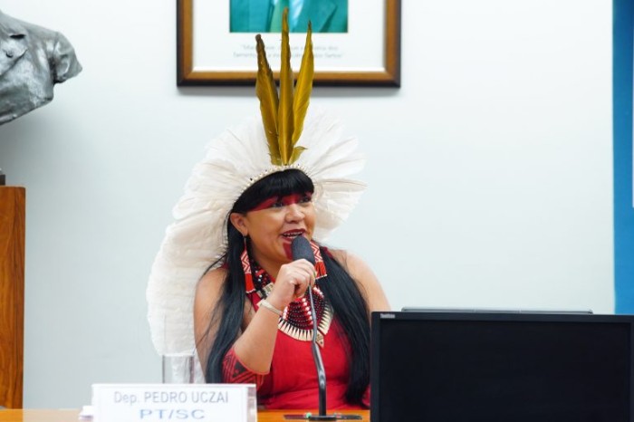 Célia Xakriabá, presidente da Comissão da Amazônia e dos Povos Originários e Tradicionais - (Foto: Najara Araujo/Câmara dos Deputados)