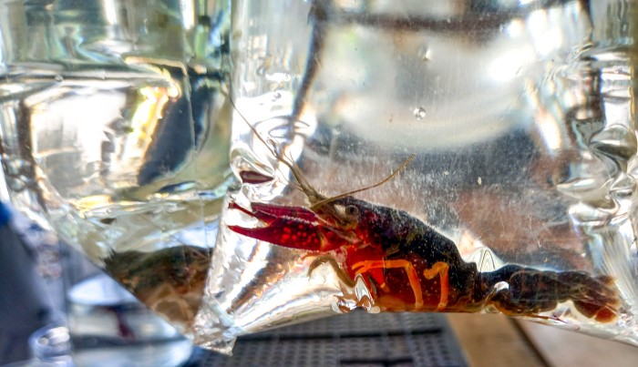 © Vitor Abdala/Agência Brasil