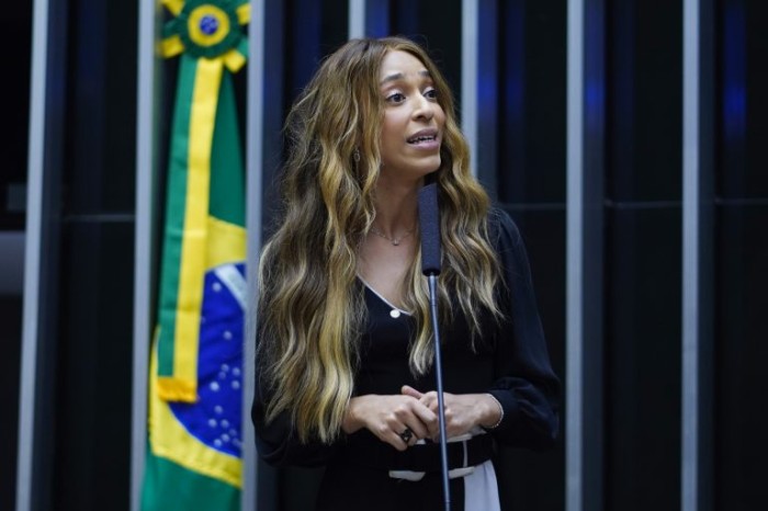 A autora da proposta, deputada Erika Hilton - (Foto: Pablo Valadares / Câmara dos Deputados)