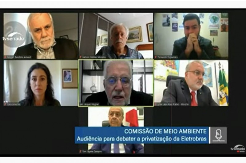 Reprodução de tela da reunião remota da Comissão de Meio Ambiente - Reprodução TV Senado
