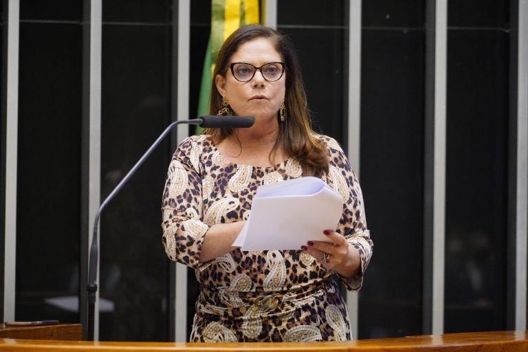 Soraya Santos, relatora do projeto - (Foto: Pablo Valadares/Câmara dos Deputados)