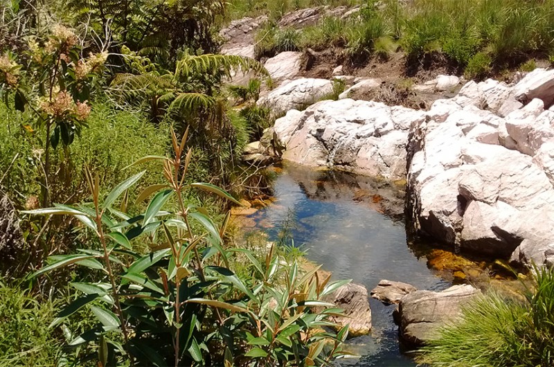 Nascente do rio São Francisco no Parque Nacional da Serra da Canastra, em São Roque de Minas - Divulgação/Wikipédia