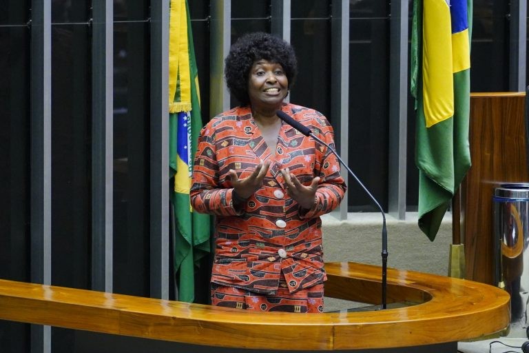 Benedita argumenta que a medida aumenta a segurança dos passageiros - (Foto: Pablo Valadares/Câmara dos Deputados)