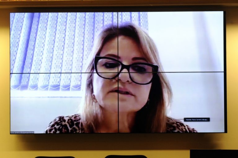 Flávia Morais retirou do projeto menção aos rótulos dos  produtos - (Foto: Cleia Viana/Câmara dos Deputados)