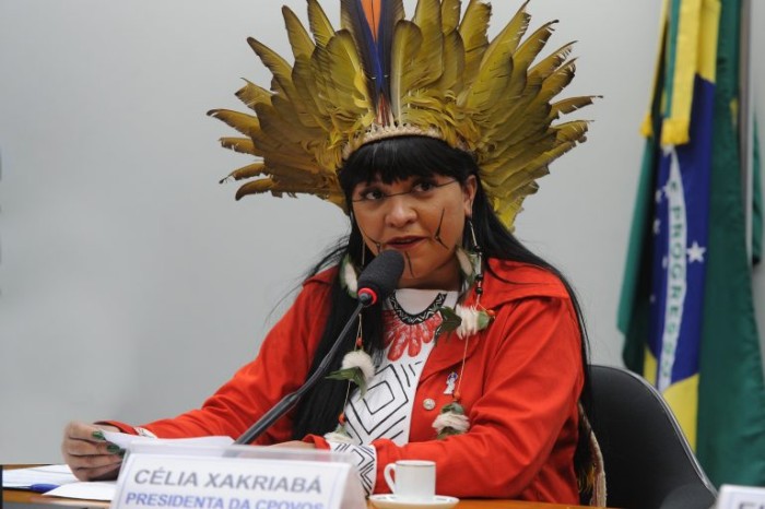 Célia Xakriabá: Congresso não pode se omitir diante de recentes ataques aos Guarani-Kaiowas - (Foto: Renato Araújo/Câmara dos Deputados)