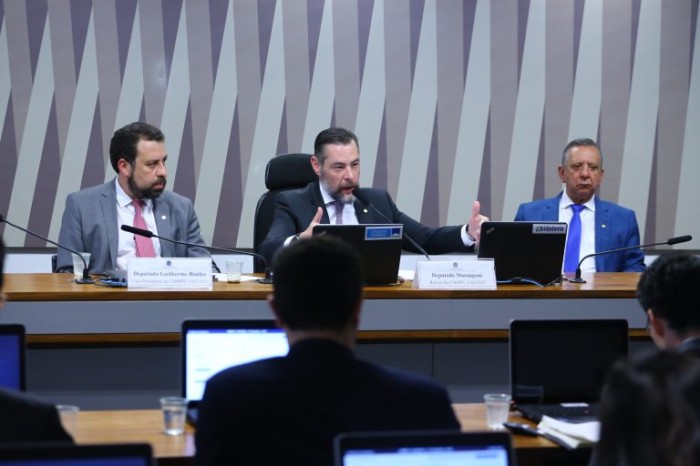 Comissão mista analisa a medida provisória 1162/23 - (Foto: Vinicius Loures / Câmara dos Deputados)