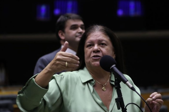 Laura Carneiro recomendou a aprovação do texto, com mudanças na redação original - (Foto: Bruno Spada/Câmara dos Deputados)
