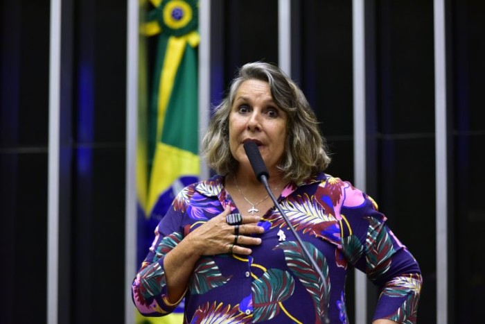 Erika Kokay recomendou a aprovação do projeto com mudanças no texto original - (Foto: Zeca Ribeiro/Câmara dos Deputados)
