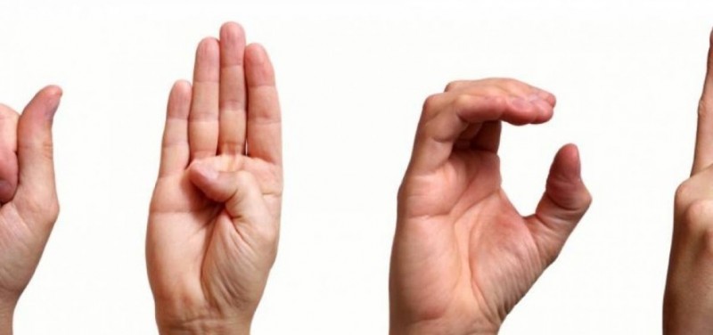 Deputados aprovam com urgência PL que determina educação bilíngue - (Foto: Divulgação / Associação de Tradutores Intérpretes de Língua de Sinais do Oeste do Pará)