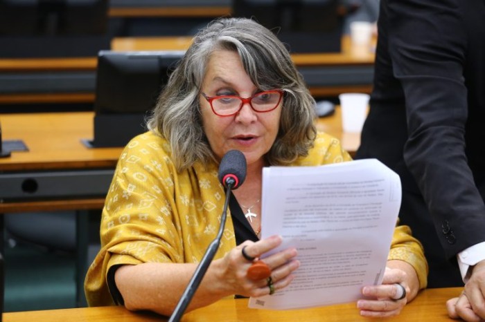 A deputada Erika Kokay recomendou a aprovação da proposta - (Foto: Vinicius Loures/Câmara dos Deputados)