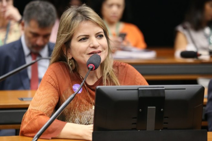 Flávia Morais: as mulheres poderão se engajar mais fortemente em suas campanhas - (Foto: Billy Boss/Câmara dos Deputados)