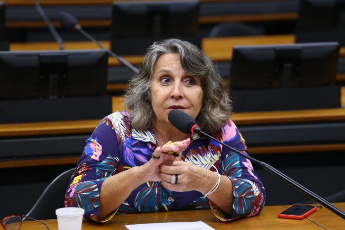Deputada Erika Kokay, que pediu a realização da audiência - (Foto: Vinicius Loures/Câmara dos Deputados)