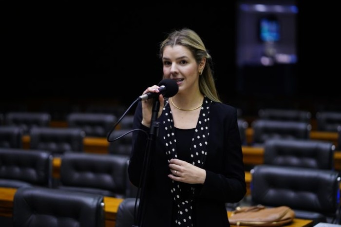 Luisa Canziani, autora do projeto de lei - (Foto: Pablo Valadares/Câmara dos Deputados)